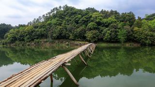 婺源思口镇漳村 景点图 317_10