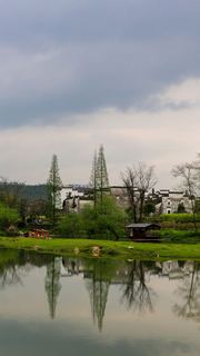 婺源思口镇漳村 景点图 317_16