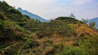 遂昌大柯村梯田 景点图 318_7