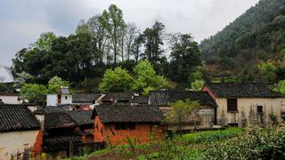 婺源沱川乡查平坦村 景点图 319_3
