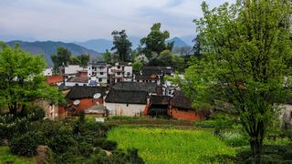 婺源沱川乡查平坦村 景点图 319_5
