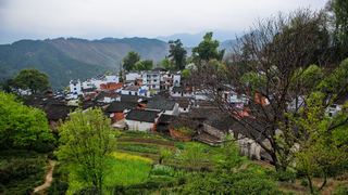 婺源沱川乡查平坦村 景点图 319_8