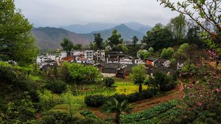婺源沱川乡查平坦村 景点图 319_10