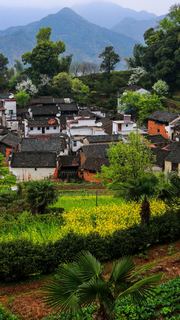 婺源沱川乡查平坦村 景点图 319_11