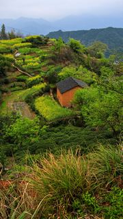 婺源沱川乡查平坦村 景点图 319_17