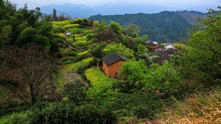 婺源沱川乡查平坦村 景点图 319_18