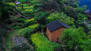 婺源沱川乡查平坦村 景点图 319_19