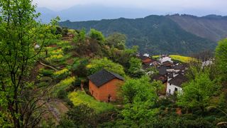 婺源沱川乡查平坦村 景点图 319_20