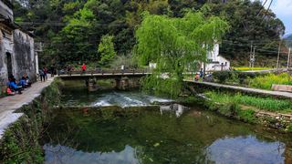 沱川乡三溪口 景点图 321_14