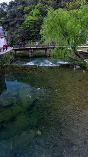 沱川乡三溪口 景点图 321_17