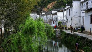 沱川乡三溪口 景点图 321_18