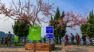 南尖岩高山梯田、九级瀑布 景点图 322_5