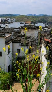 长滩古村 景点图 323_4