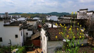 长滩古村 景点图 323_5