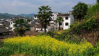 长滩古村 景点图 323_10