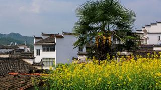 长滩古村 景点图 323_11
