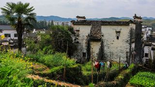长滩古村 景点图 323_12