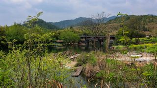 婺源清华彩虹桥2014 景点图 324_17