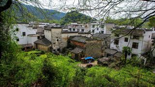 婺源江湾晓起村 景点图 327_15