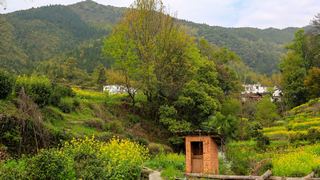 江岭梯田油菜花 景点图 328_4