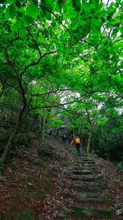 雁荡山 景点图 329_8
