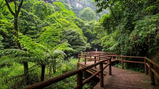 赤水丹霞·佛光岩 景点图 33_14