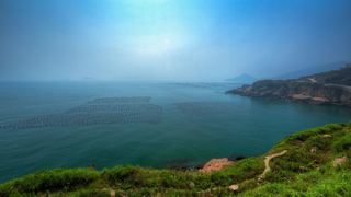 嵊山岛东崖绝壁 景点图 333_3