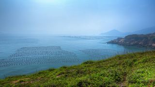 嵊山岛东崖绝壁 景点图 333_9