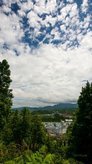 井冈山革命烈士陵园 景点图 341_5