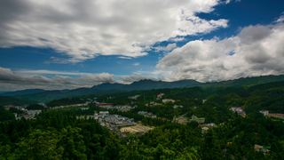 井冈山革命烈士陵园 景点图 341_13