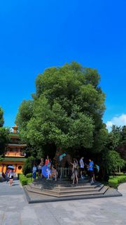 东方文化园 景点图 344_8