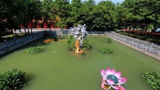 东方文化园 景点图 344_13