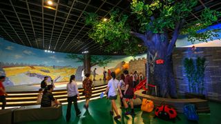 扬州中国雕版印刷博物馆、扬州博物馆 景点图 349_4