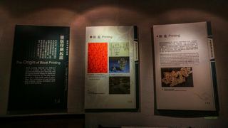 扬州中国雕版印刷博物馆、扬州博物馆 景点图 349_9