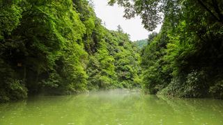 高过河自然风景区 景点图 35_4