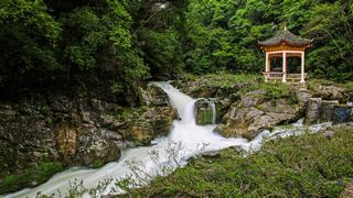 高过河自然风景区 景点图 35_10