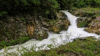 高过河自然风景区 景点图 35_11