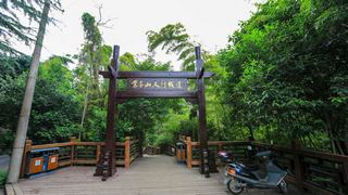 紫金山观光索道 景点图 351_2