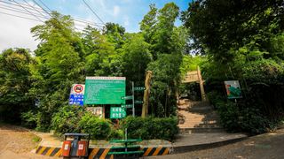 紫金山观光索道 景点图 351_3
