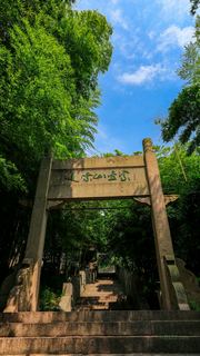 紫金山观光索道 景点图 351_4