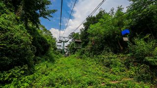 紫金山观光索道 景点图 351_7