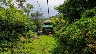 紫金山观光索道 景点图 351_8