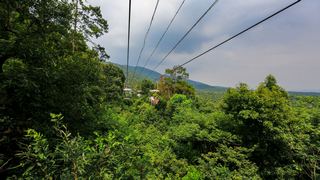 紫金山观光索道 景点图 351_9