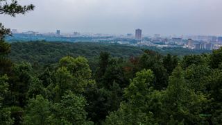 紫金山观光索道 景点图 351_13