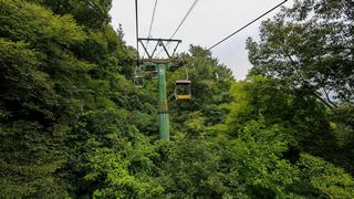 紫金山观光索道 景点图 351_15