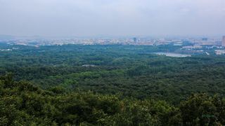 紫金山观光索道 景点图 351_16