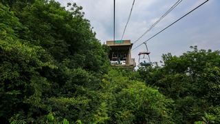 紫金山观光索道 景点图 351_18