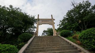 紫金山主峰头陀岭 景点图 352_2