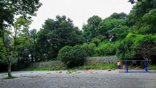 紫金山主峰头陀岭 景点图 352_15