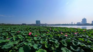 扬州京华城 景点图 353_5